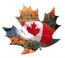 2020년 캐나다 워킹홀리데이 IEC Profile 2019년 12월 9일 (오전 11시) 신청 개시
