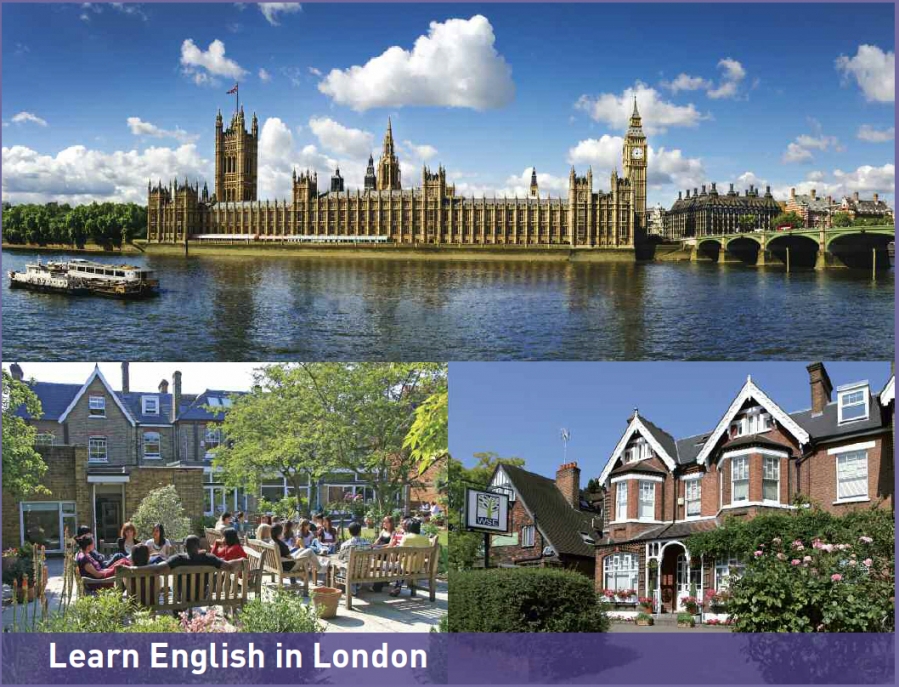 [영국 런던 어학연수] 윔블던 지역 윔블던 스쿨 오브 잉글리쉬 영국에서의 어학연수